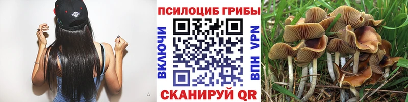 Галлюциногенные грибы мицелий  KRAKEN онион  Голицыно 